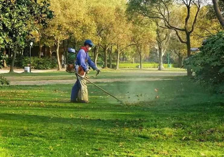 綠化養(yǎng)護12